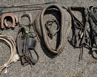 Antique Horse Equipment