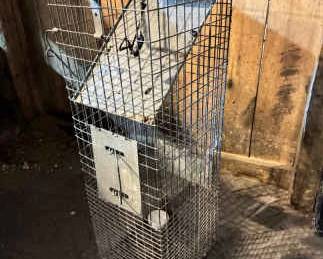 Large Animal Live Trap