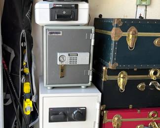 Skis (in travel bags), home safes, trunks