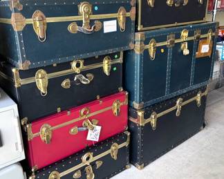 Travel trunks