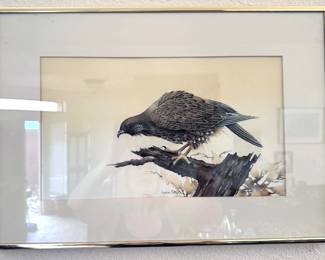 Bird-themed artwork