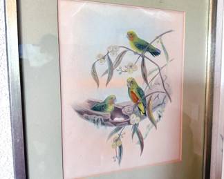 Bird-themed artwork