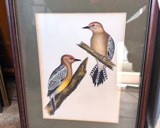 Bird-themed artwork