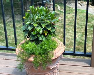 Large pot with flowering plants