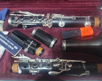 Clarinet in case