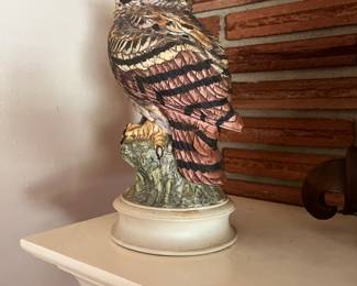 Owl
