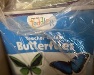 Experience Early Learning - Early Childhood Curriculum