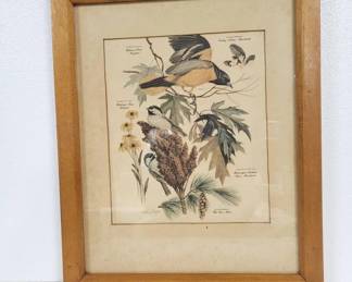 Vintage Arthur Singer Bird Print
