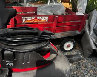 Woody wagon