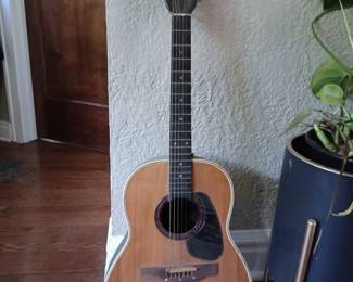 12-string acoustic guitar