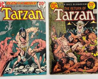 Lot 808 DC Tarzan