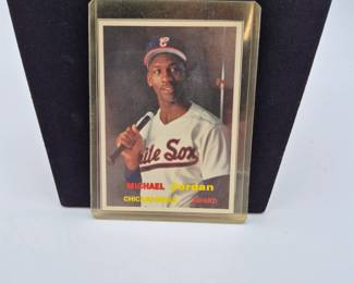 Michael Jordan Baseball
