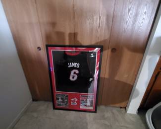 11 James Chicago Bulls Autograhed Jersey