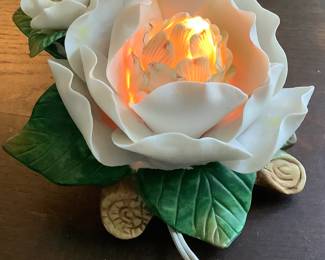 Magnolia light