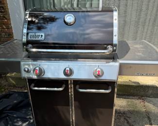 Weber Grill