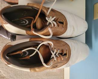 men's Nike golf shoes size 12 (need new laces)
