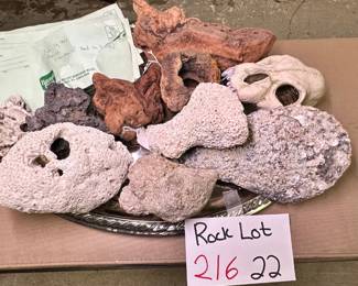Rocks Bones Coral