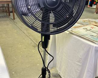 Fan