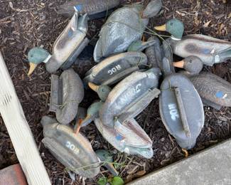 Mallard Duck Decoys 