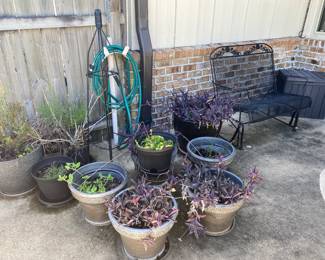 planters