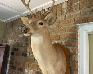Big Buck