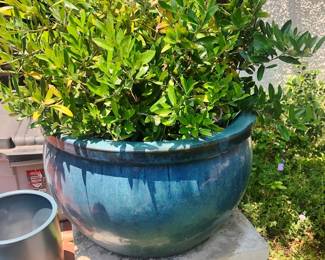 Pair of Blue Glaze Planters