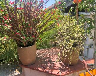 Pair of Planters