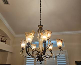 The two hanging lights in the front of the house are for sale but they have to stay up until they're closing. This one here has eight lights beautiful I'm sure it's very heavy the client wants $450