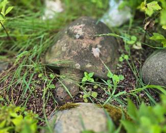 Stone turtle
