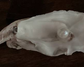 Pearl in a Shell