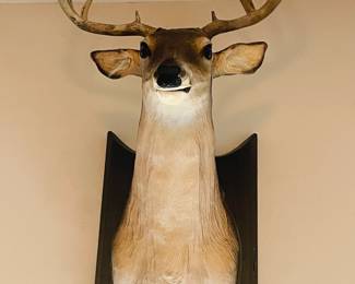 Talking Deer Head