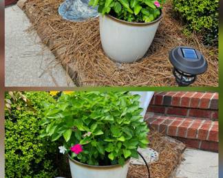 planters, plants