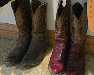 Lizard Skin Cowboy Boots
