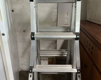 Multifunction ladder