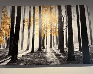 Trees & sunshine wall canvas