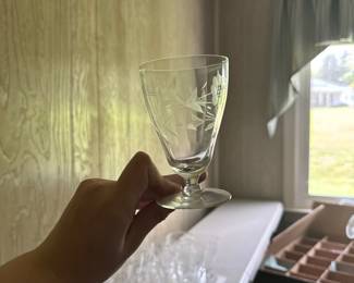 Etched Glass Drinking Glasses