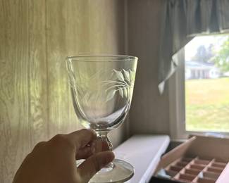 Glass Water Goblet