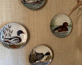Ducks/mallards/ …. What a fowl collection 