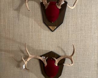 Nice racks…