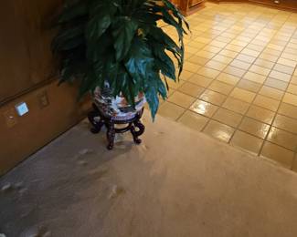 Plant