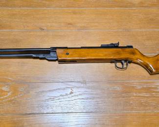 Pellet Gun