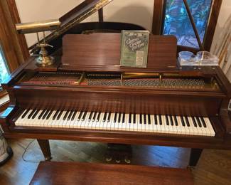 Baby grand - fantastic condition - Haines Brothers