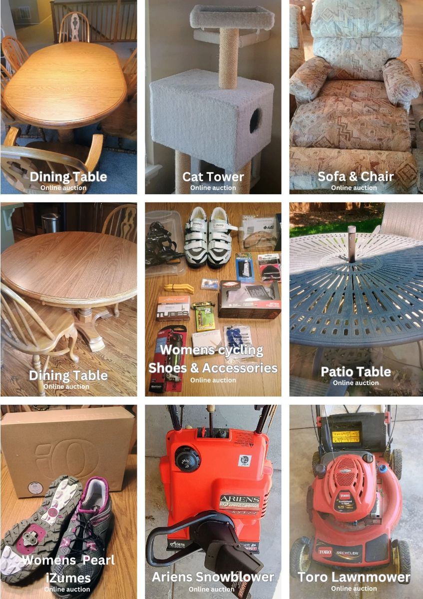 Auction collage