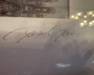 Framed Original Photograph of Cherry Blossoms at the Tidal Basin Signed Tom Tam (22"W x 18"H)