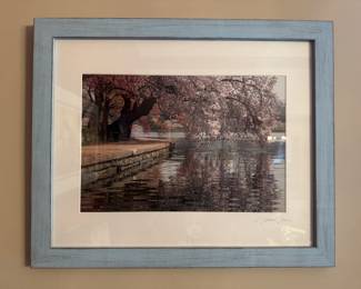 Framed Original Photograph of Cherry Blossoms at the Tidal Basin Signed Tom Tam (22"W x 18"H)