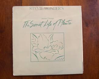 Stevie Wonder – Journey Through The Secret Life Of Plants / TI3-371C2