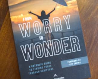 "From Worry to Wonder" Autographed by Melissa Overmyer