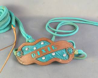 Custom Turquoise 12' Braided Horse Rope