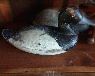 Duck Decoy