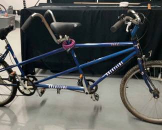 Crestline Dyno Tandem Bike